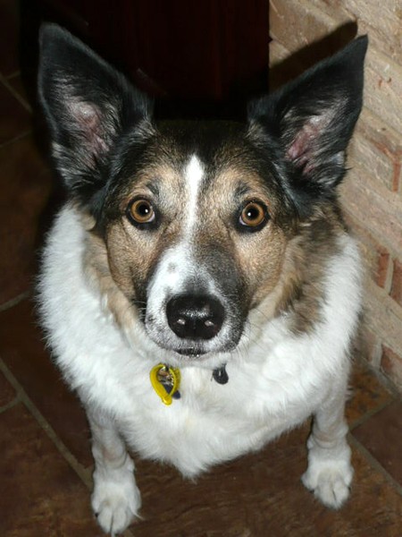 MY MATE MURPHY