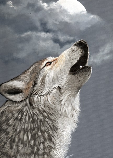 moonlight magnetism