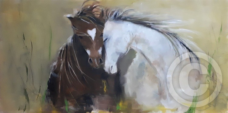 West Dalene Mare and Stallion