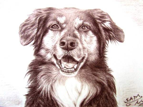 Sam