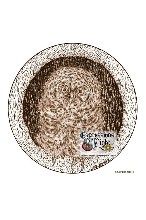 ExpoLight-Graphic-Arts-Baby-Owl-1989-0001 (Pen-&-Ink-Sepia-SP)