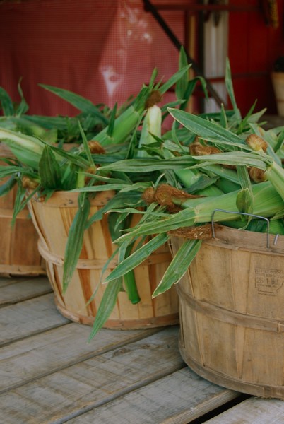 corn husks