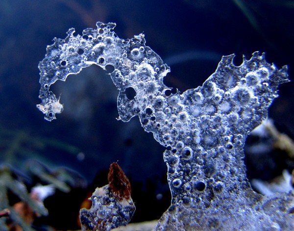 Magical Ice Creature!