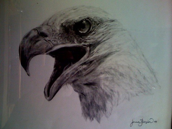 America's Eagle