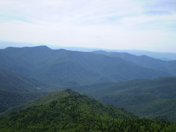 view from Mt Mitchell