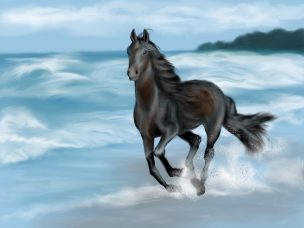 Freedom