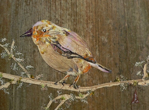 City Bird