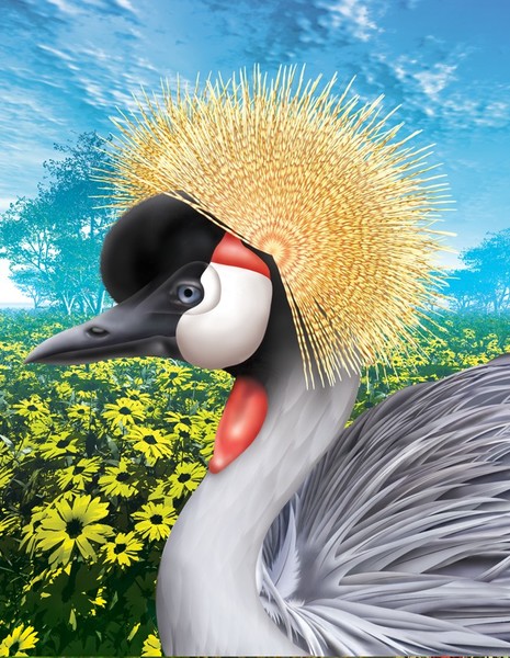 the Crane's Crown