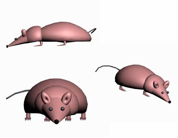 3d mouse character