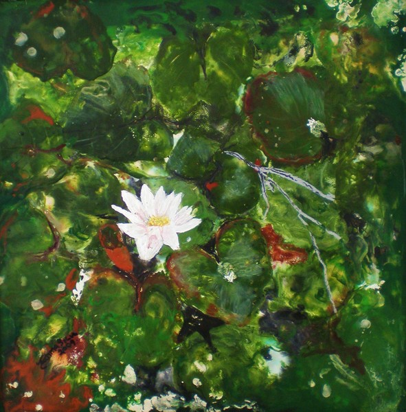 lily