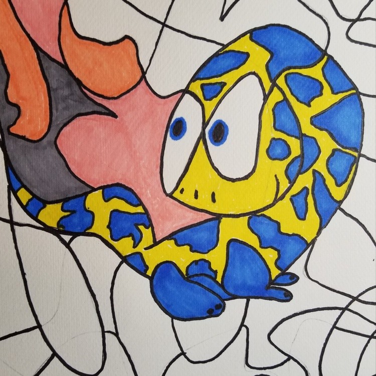 Salamander