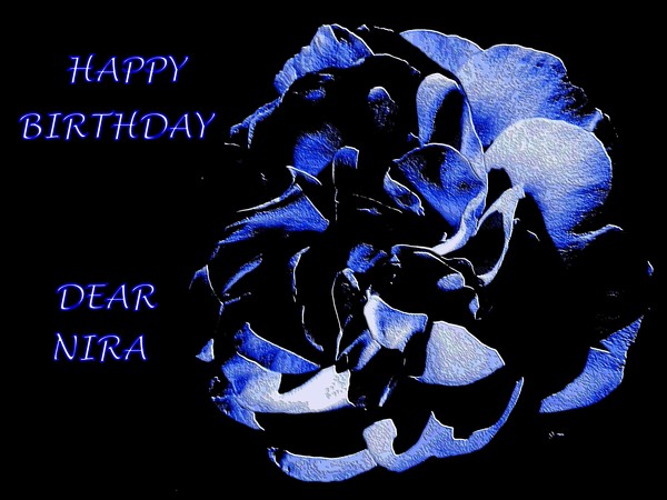 a blue rose for NIRA
