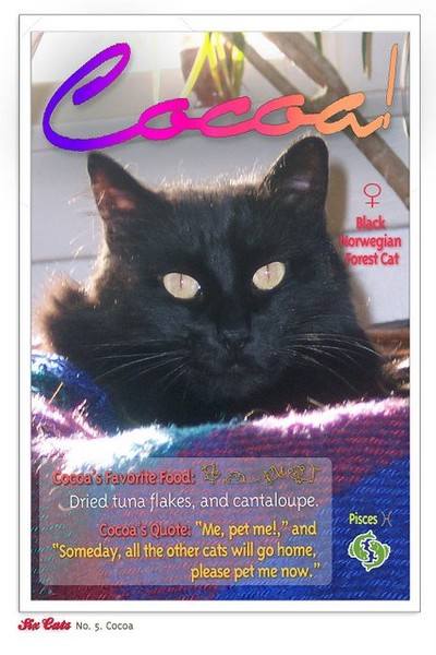 Cocoa's Trading Card