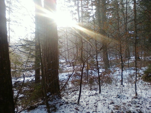 Play with sun