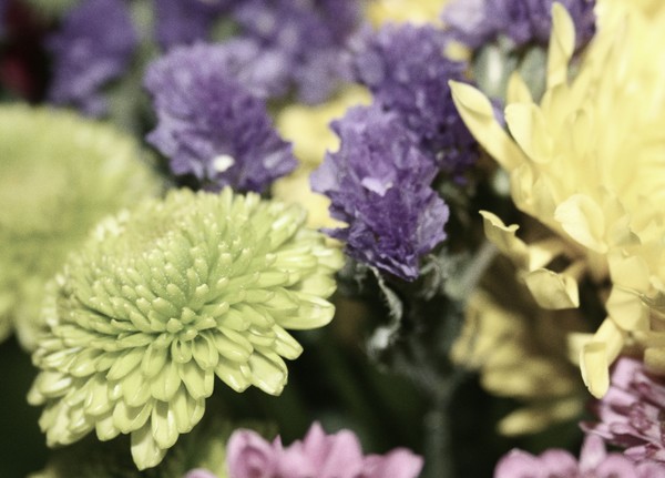 Pale Flowers