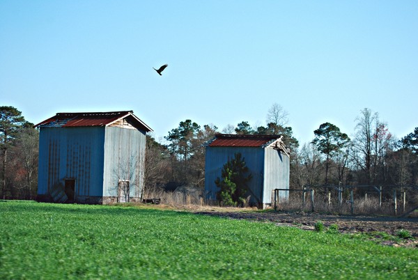 Two Barns