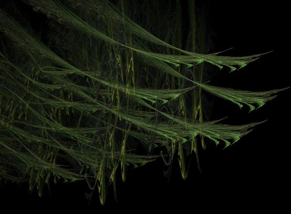 Spring Forest