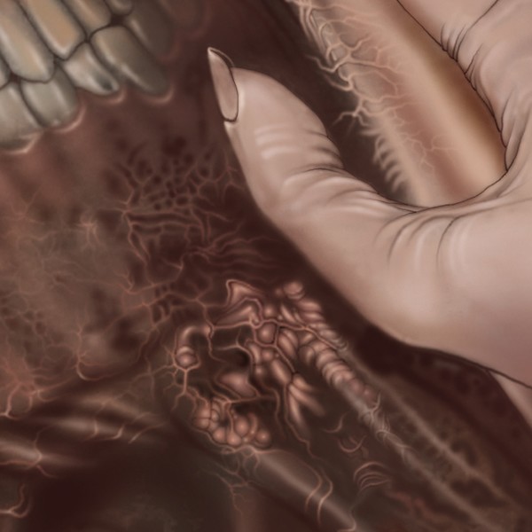 Detail: from CAN'T LET GO 2