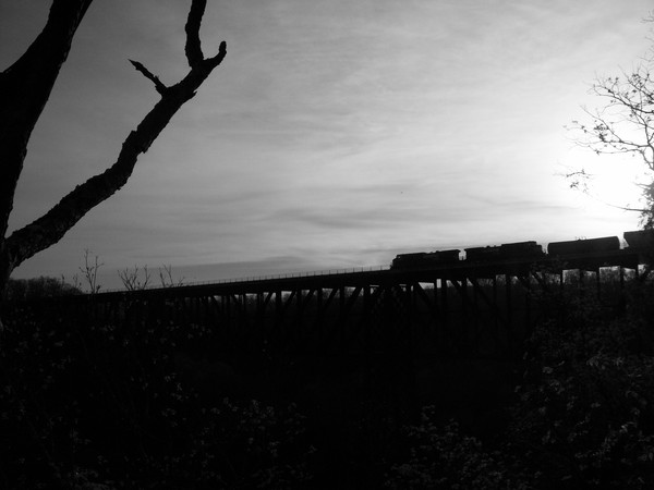 Dusk Train