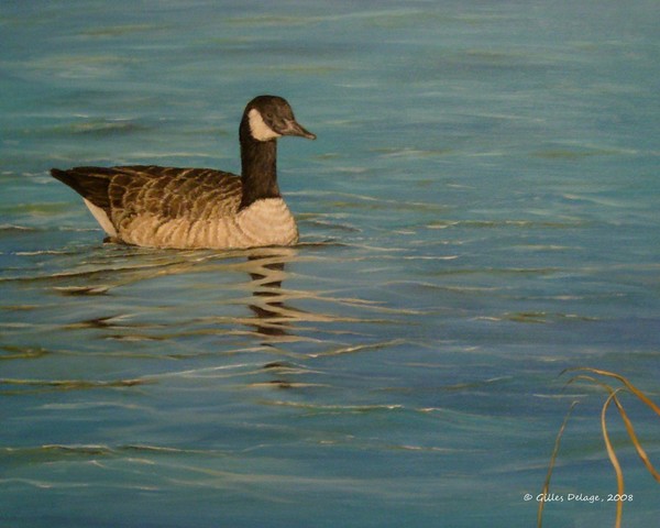 Paddling away