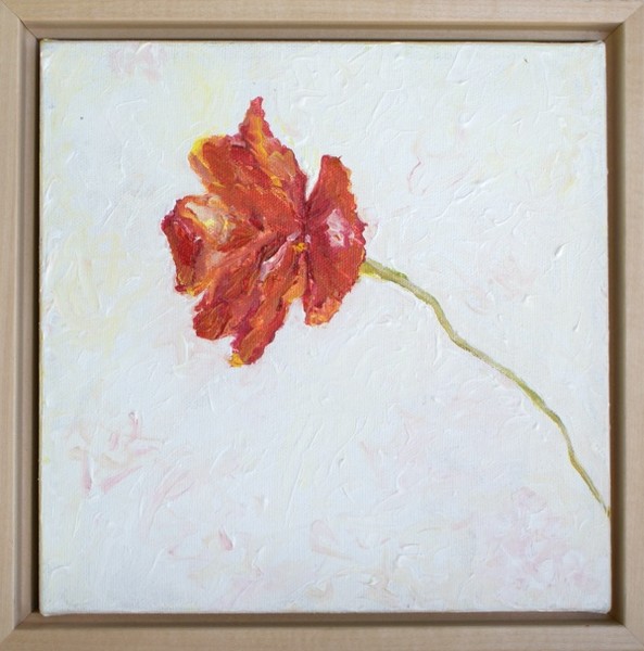 Poppy in reverse frame 