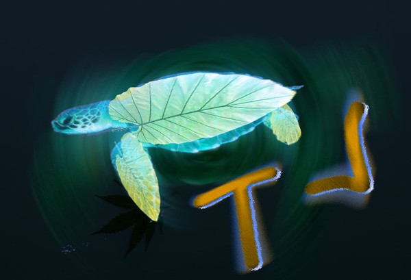Turtle Leaf