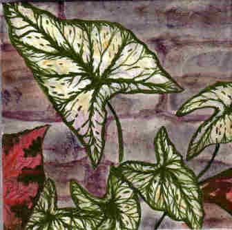 Close Up of Caladium Mural
