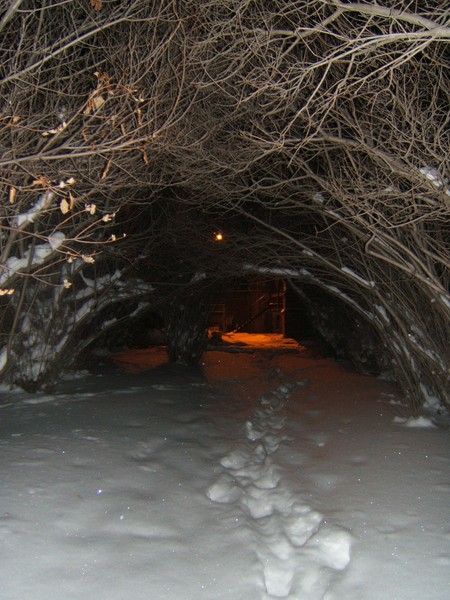 behind Darke Hall