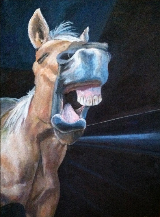I Say Neigh