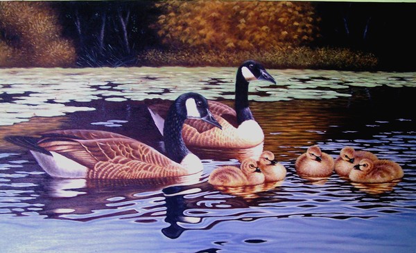 SEVEN DUCK OUT THERE. AND THEY ALL WANT SUN CHIPS