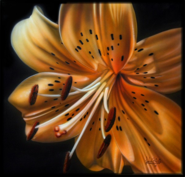 Tiger Lilly