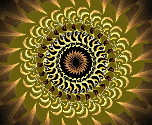 Ind=cendia Kaleidoscope