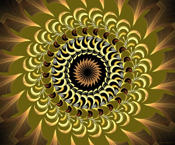 Ind=cendia Kaleidoscope