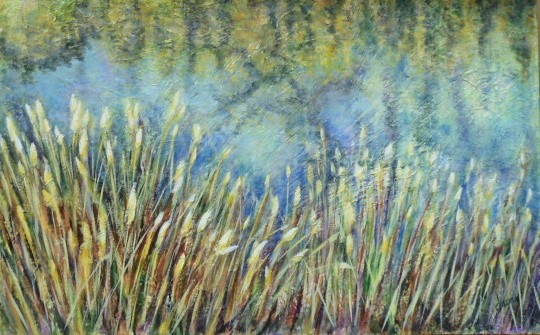 CATTAILS IN THE SUN