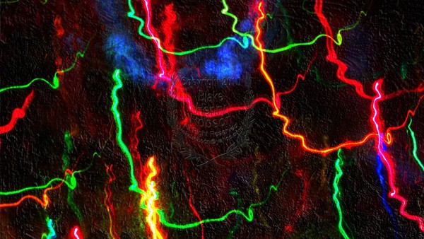 bright lights abstract digital art