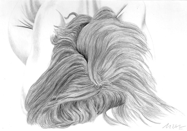 Les cheveux en quatre