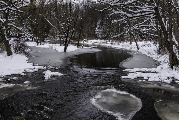 Lowville Creek