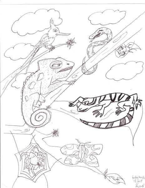 Nature drawings