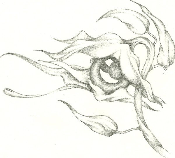 eye flower