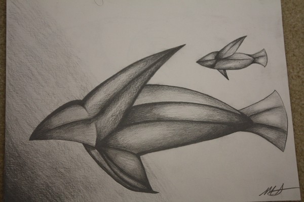 Swim...or Fly