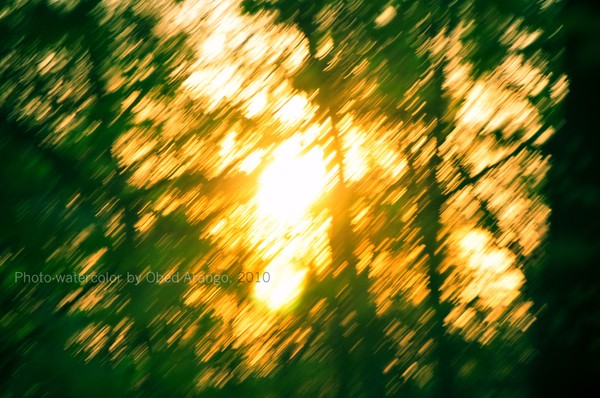 Watercolor in green and gold/Acuarela en verde y o