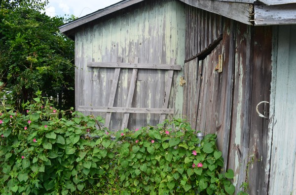 Weathered