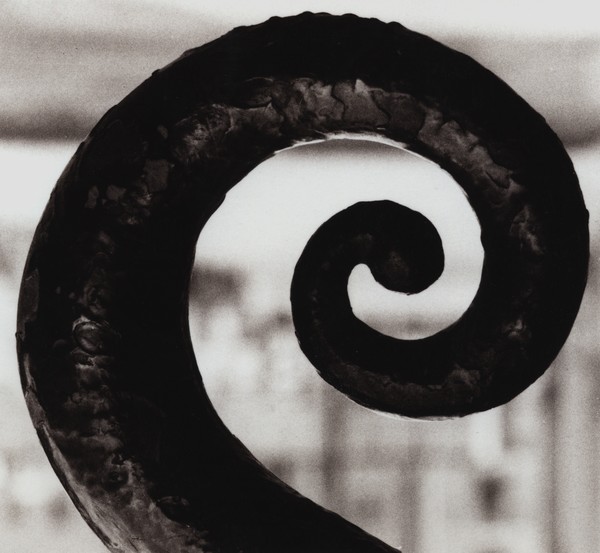 Iron Curl