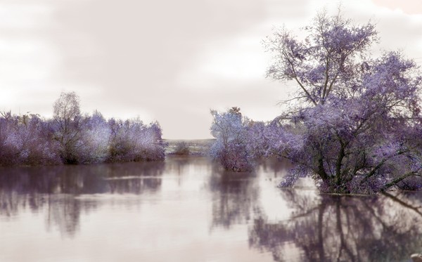 River 32.800x500