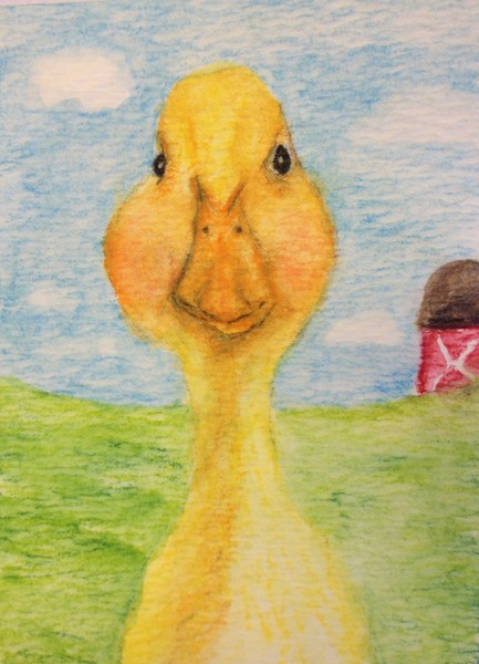 What Are You Doing? Yellow Duck ACEO