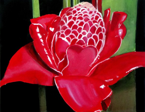 Red Costa Rican Beauty