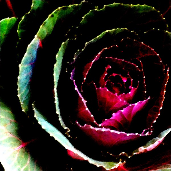 Kale No. 2