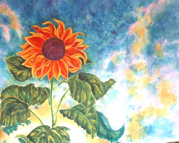 Sunflower in Morning Rain