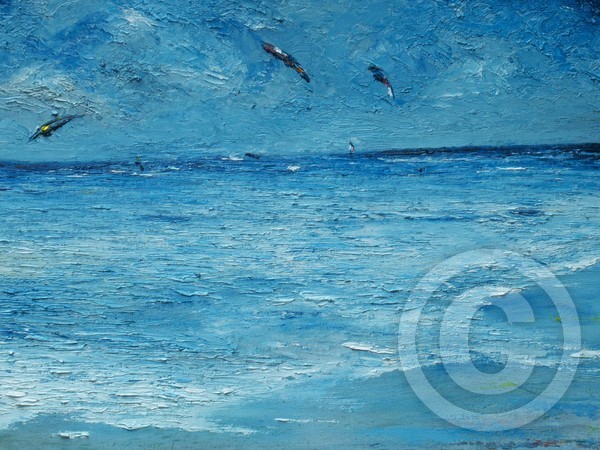 The Kite Surfers
