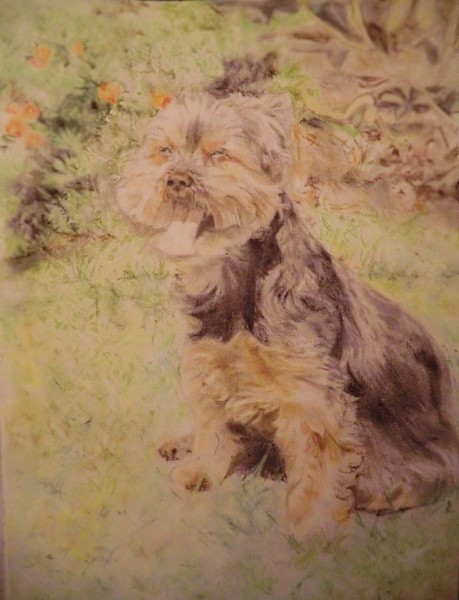 Pet portrait of Ben